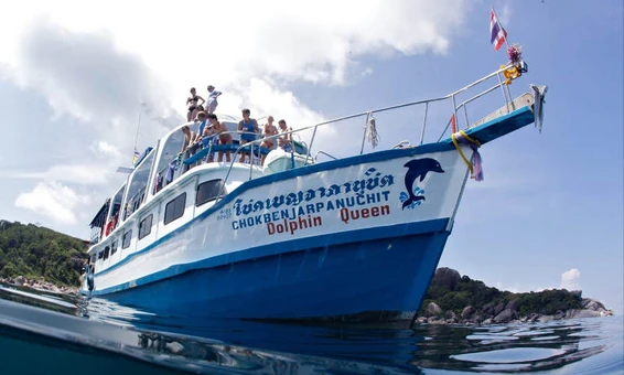 MV Dolphin Queen — Dive Safari Liveaboard, Phuket