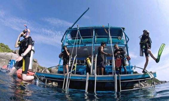 MV Dolphin Queen — Dive Safari Liveaboard, Phuket