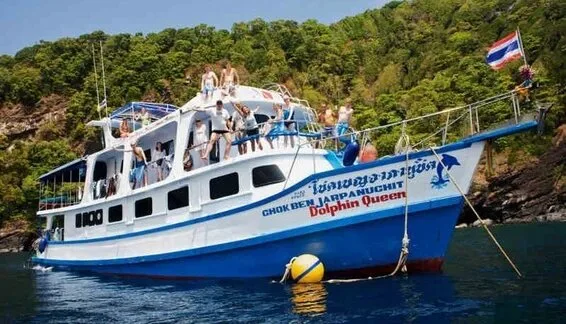 MV Dolphin Queen — yacht photograph 1