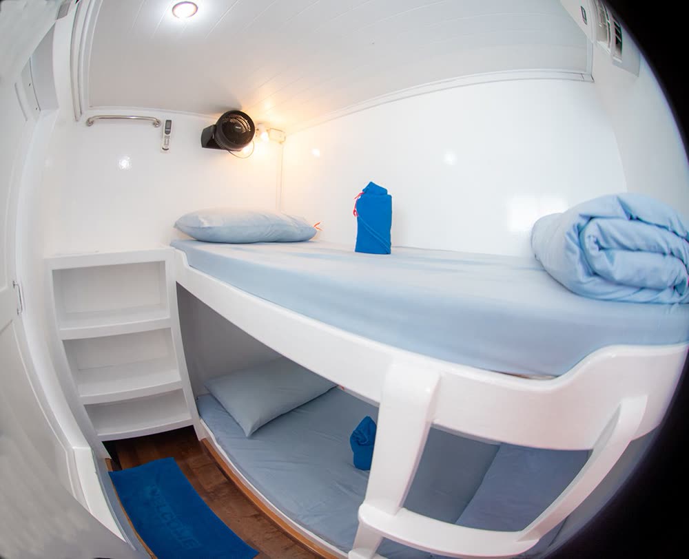 Manta Queen 5 — Dive Safari Liveaboard, Phuket