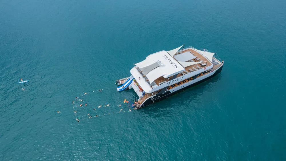 Seanery · Power Catamaran — yacht photograph 3