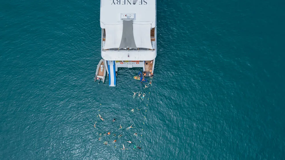 Seanery · Power Catamaran — yacht photograph 4